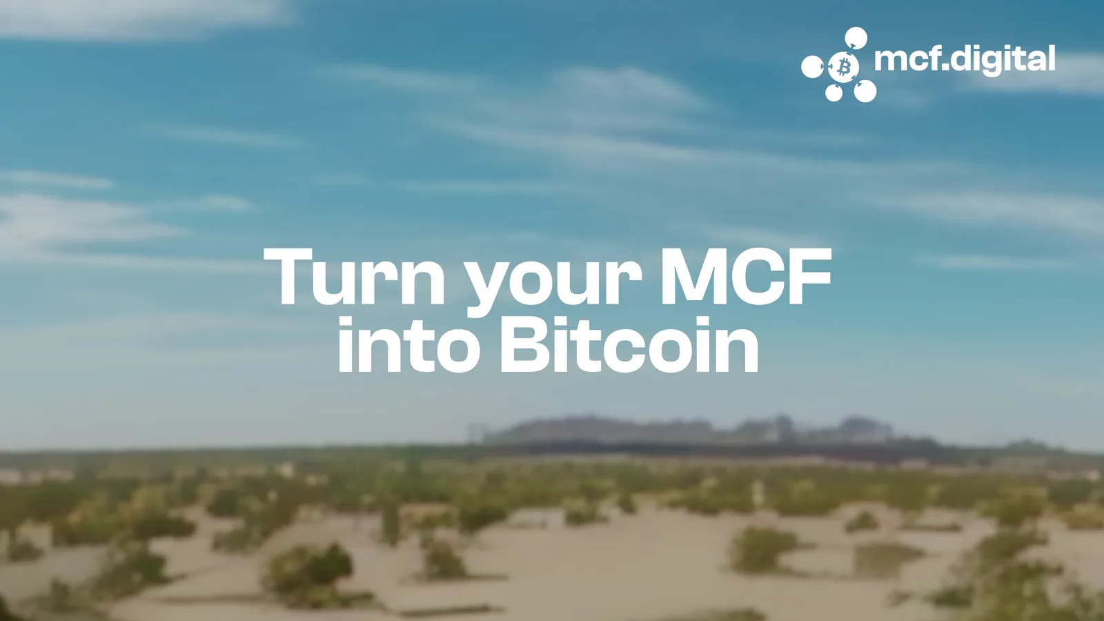 MCF Digital detail 2